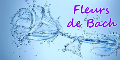 Fleurs de Bach